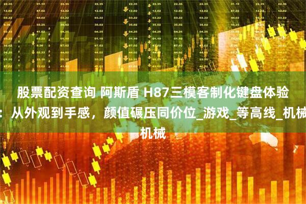 股票配资查询 阿斯盾 H87三模客制化键盘体验：从外观到手感，颜值碾压同价位_游戏_等高线_机械