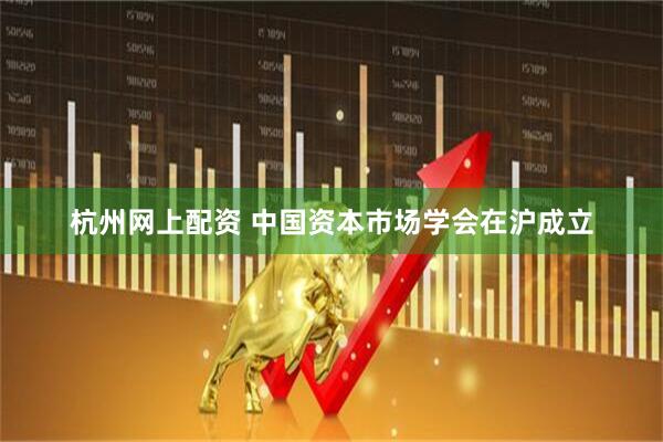 杭州网上配资 中国资本市场学会在沪成立