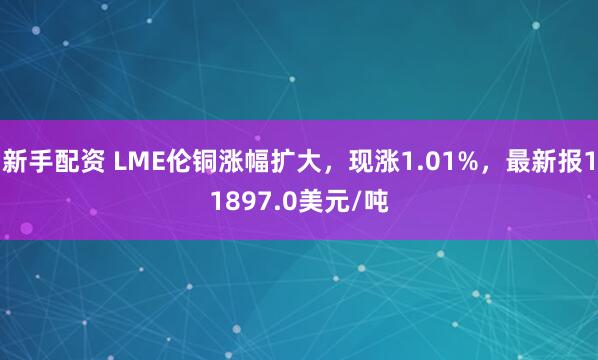 新手配资 LME伦铜涨幅扩大，现涨1.01%，最新报11897.0美元/吨
