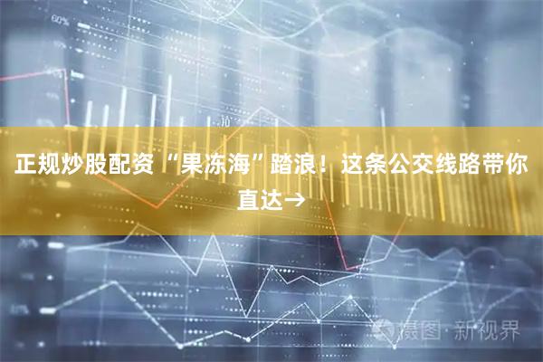 正规炒股配资 “果冻海”踏浪!这条公交线路带你直达→